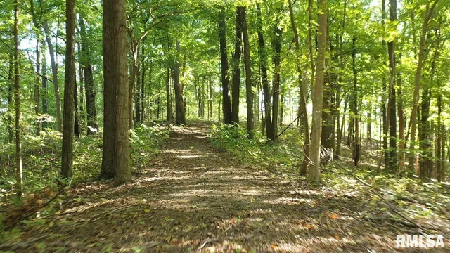 $364,800 | 0 Forest Road, Ava, IL 62907
