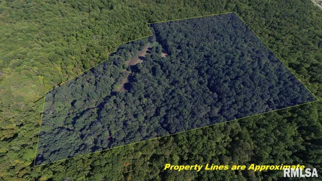 $364,800 | 0 Forest Road, Ava, IL 62907