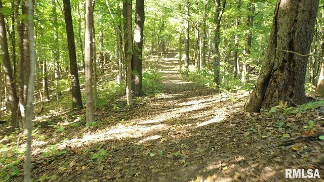 $364,800 | 0 Forest Road, Ava, IL 62907