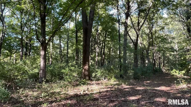 $364,800 | 0 Forest Road, Ava, IL 62907