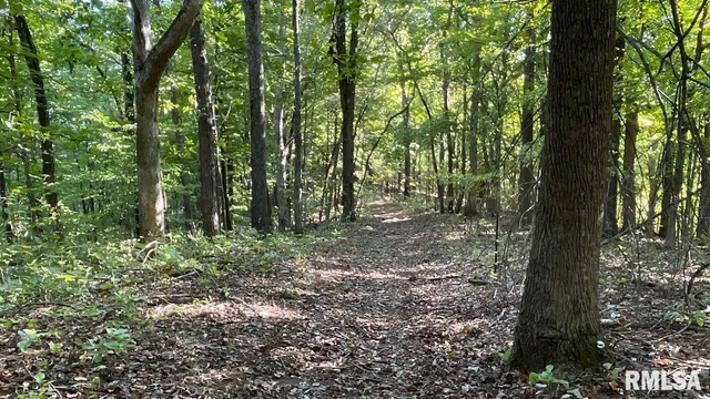 $364,800 | 0 Forest Road, Ava, IL 62907