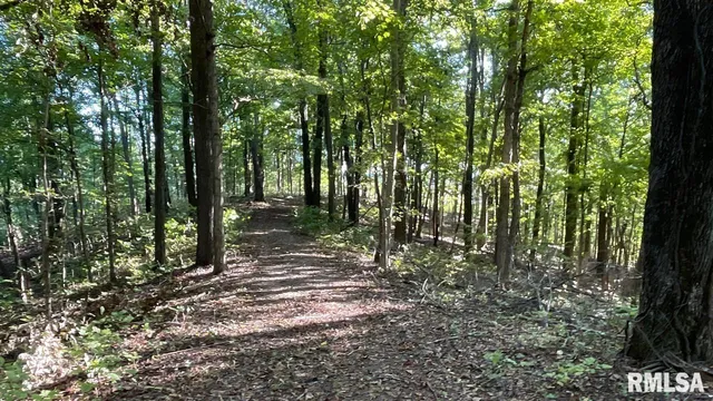 $364,800 | 0 Forest Road, Ava, IL 62907