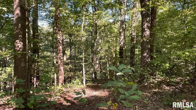 $364,800 | 0 Forest Road, Ava, IL 62907