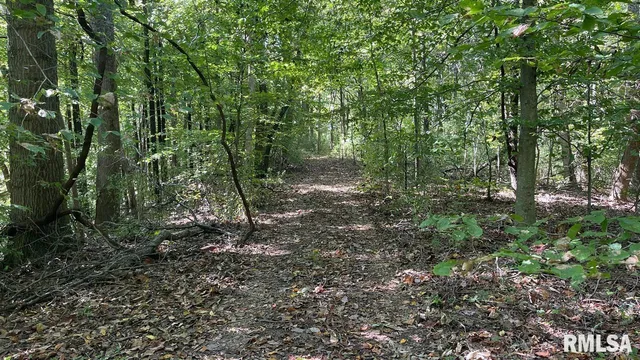 $364,800 | 0 Forest Road, Ava, IL 62907