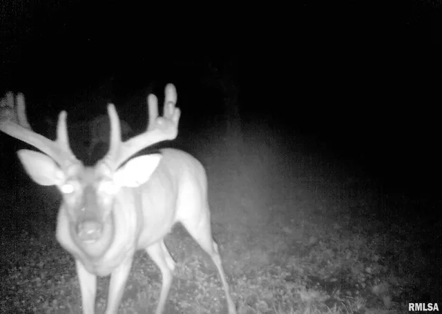 $364,800 | 0 Forest Road, Ava, IL 62907