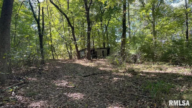 $364,800 | 0 Forest Road, Ava, IL 62907