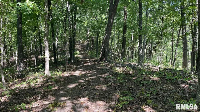 $364,800 | 0 Forest Road, Ava, IL 62907