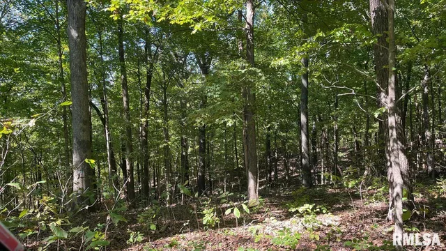 $364,800 | 0 Forest Road, Ava, IL 62907