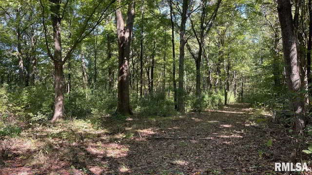 $364,800 | 0 Forest Road, Ava, IL 62907