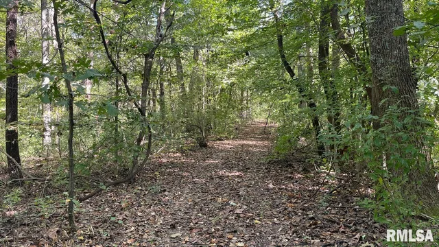 $364,800 | 0 Forest Road, Ava, IL 62907