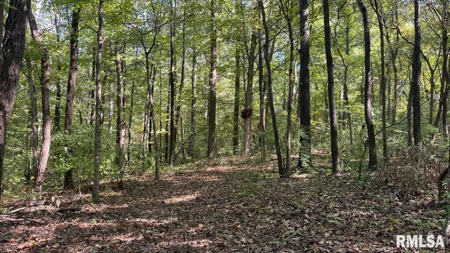 $364,800 | 0 Forest Road, Ava, IL 62907