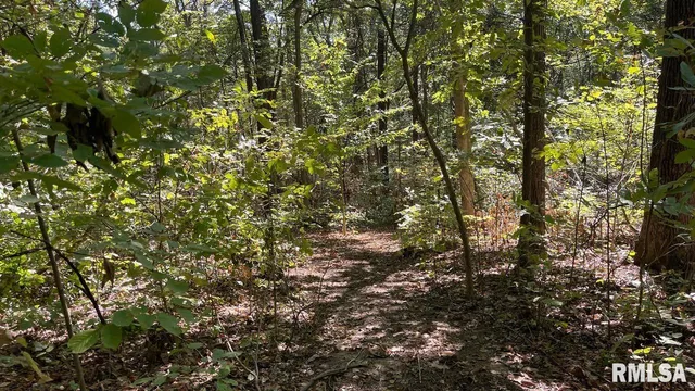 $364,800 | 0 Forest Road, Ava, IL 62907