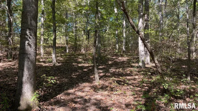 $364,800 | 0 Forest Road, Ava, IL 62907