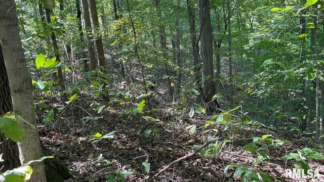 $364,800 | 0 Forest Road, Ava, IL 62907