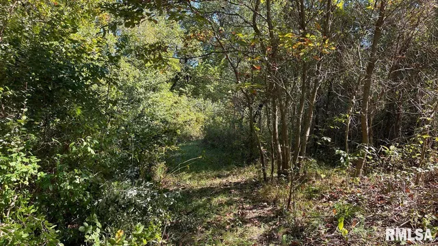 $364,800 | 0 Forest Road, Ava, IL 62907