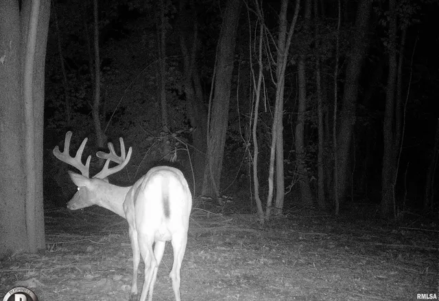 $364,800 | 0 Forest Road, Ava, IL 62907