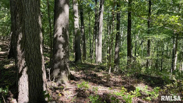 $364,800 | 0 Forest Road, Ava, IL 62907