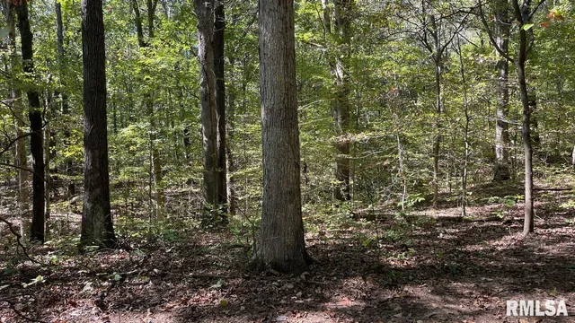 $364,800 | 0 Forest Road, Ava, IL 62907