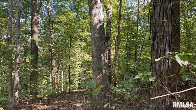 $364,800 | 0 Forest Road, Ava, IL 62907