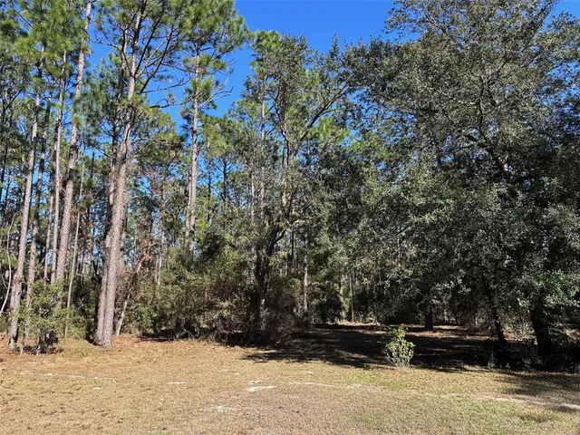 a view of entryway covered with trees