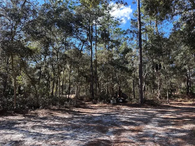 a view of outdoor space with trees