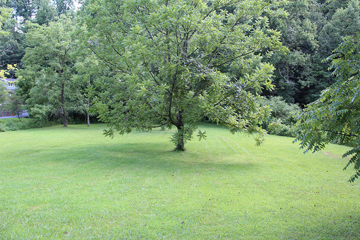 31 Tunis Branch Road Sevierville, TN 37876 - Photo 1 of 5 IMG_5963