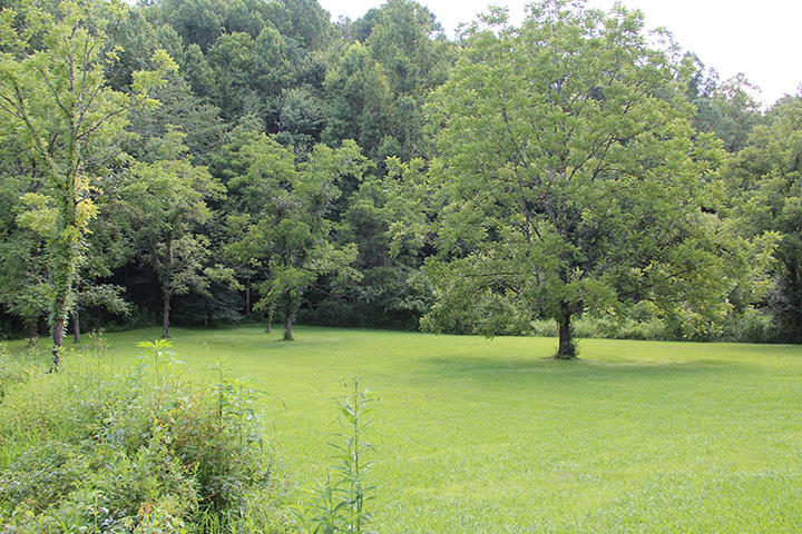 31 Tunis Branch Road Sevierville, TN 37876 - Photo 3 of 5 IMG_5965