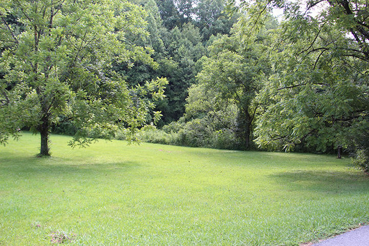 31 Tunis Branch Road Sevierville, TN 37876 - Photo 4 of 5 IMG_5966