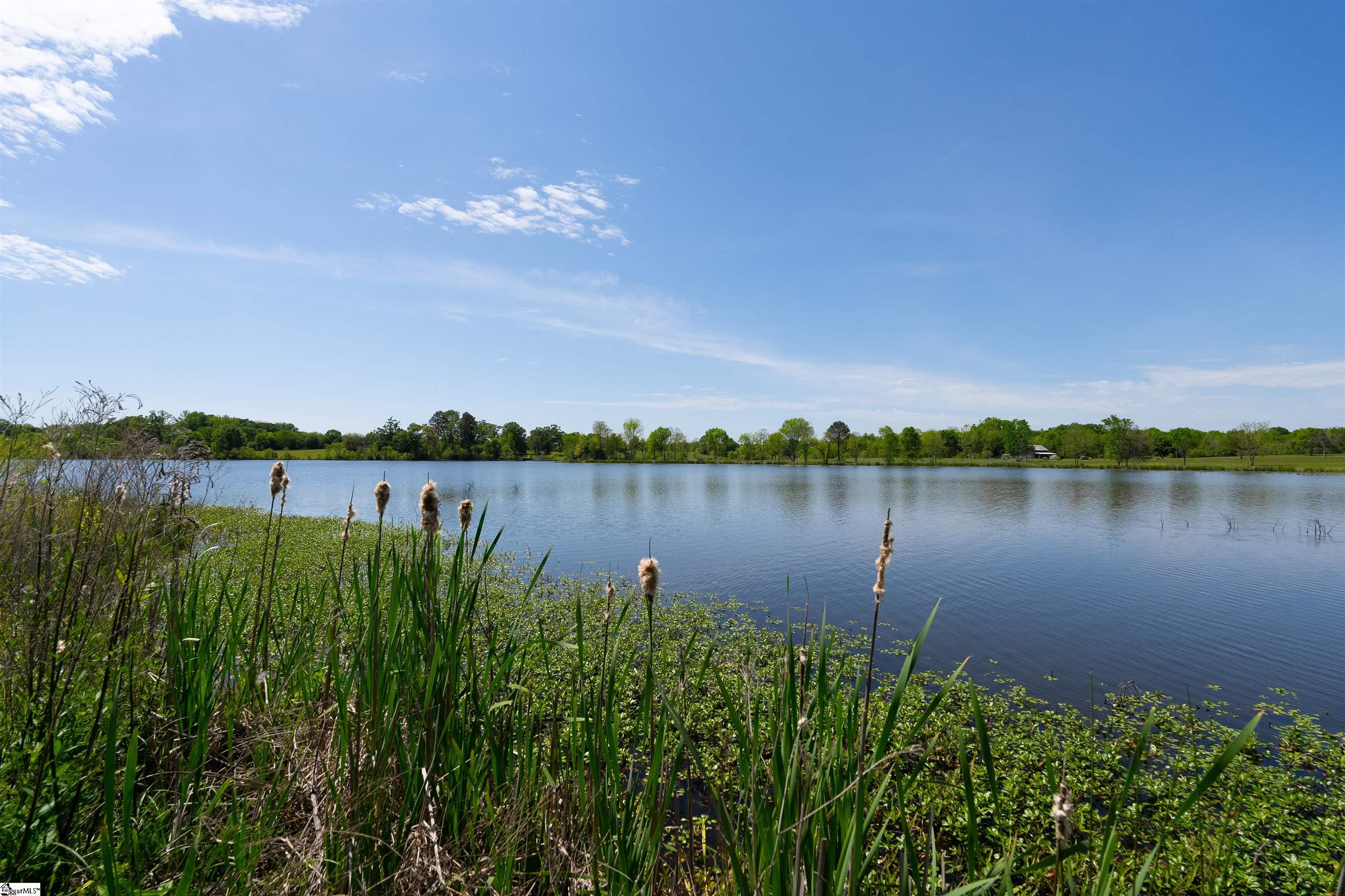 402 Nanaloo Avenue Waterloo, SC 29384 - Photo 38 of 42