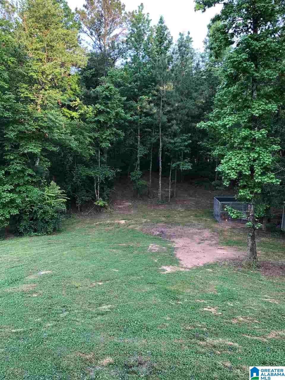 234 Sequoyah Road Pell City, AL 35128 - Photo 2 of 19 Gallery Image 2