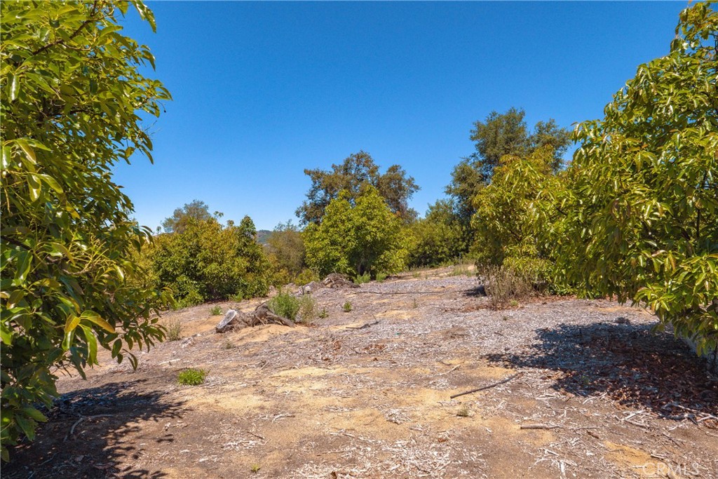 3738 Camaron Road Temecula, CA 92590 - Photo 18 of 40