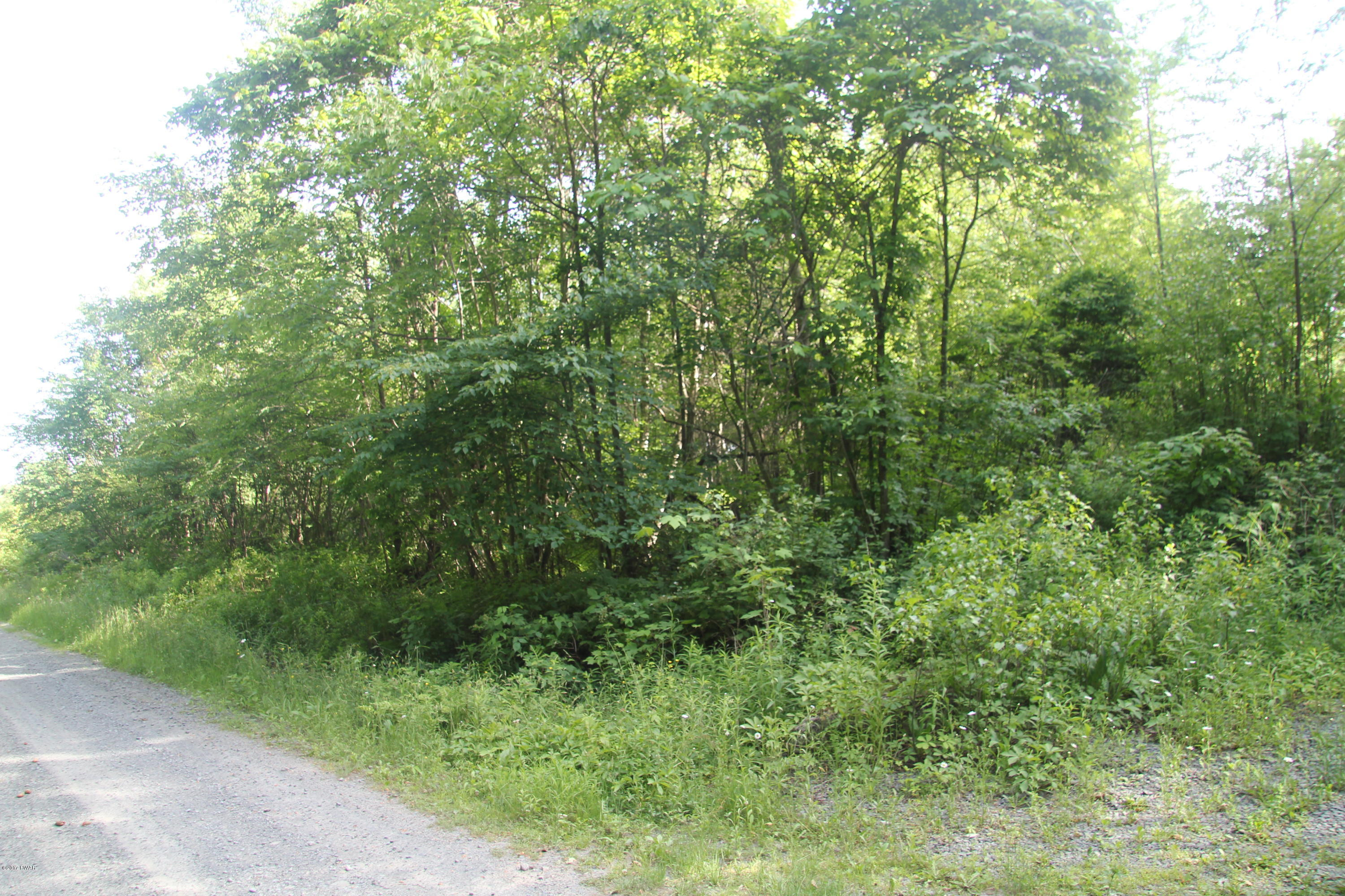 Curtis Pond Road Waymart, PA 18472 - Photo 6 of 7