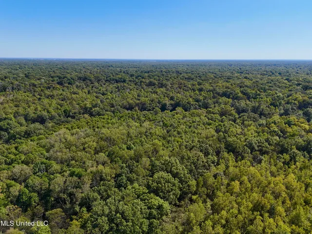 $445,750 | 1 Hwy 16 Rolling Fork, Rolling Fork, MS 39159