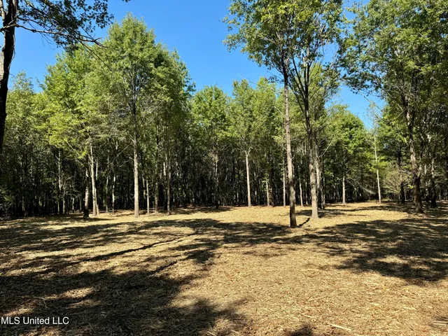 $445,750 | 1 Hwy 16 Rolling Fork, Rolling Fork, MS 39159