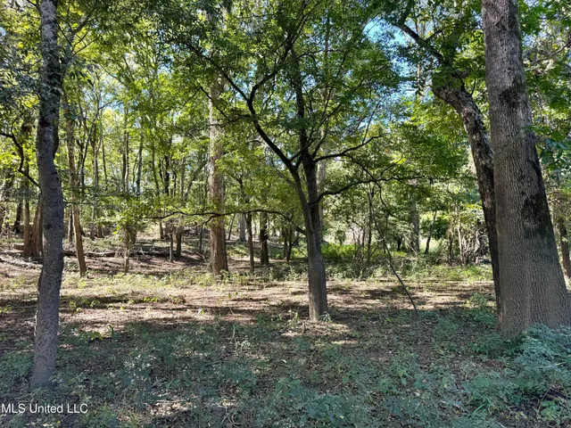 $445,750 | 1 Hwy 16 Rolling Fork, Rolling Fork, MS 39159