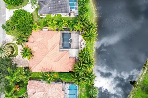 a view of a flower in a yard