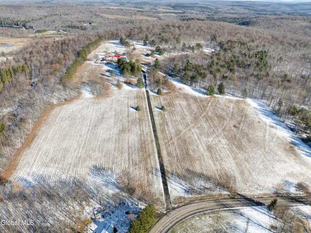 $339,000 | 932 Co Highway 36, Worcester, NY 12197