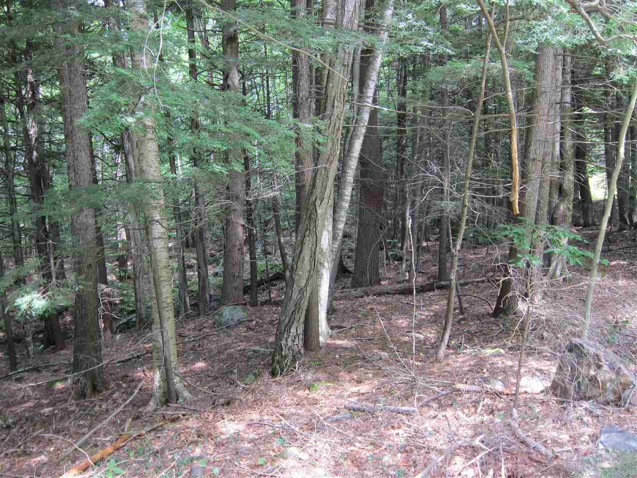 40 Beaver Road Strafford, NH 03884 - Photo 31 of 31