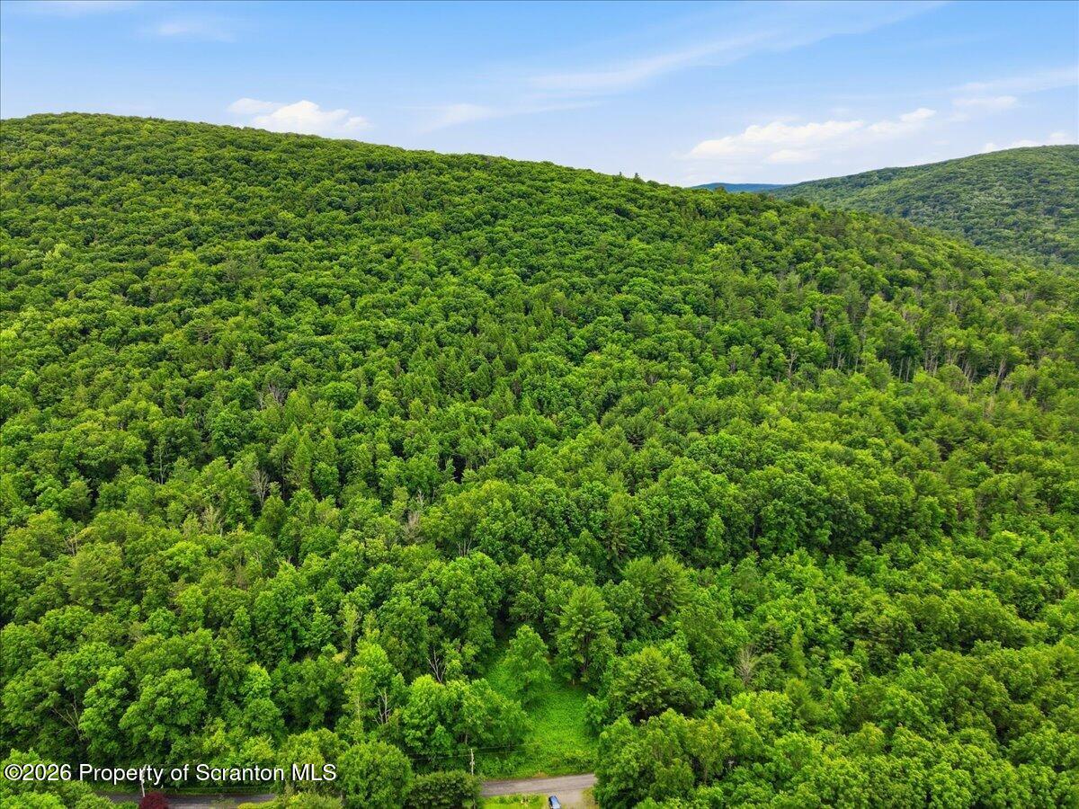 4069 Harmony Road Susquehanna, PA 18847 - Photo 48 of 55 57-DJI_0978