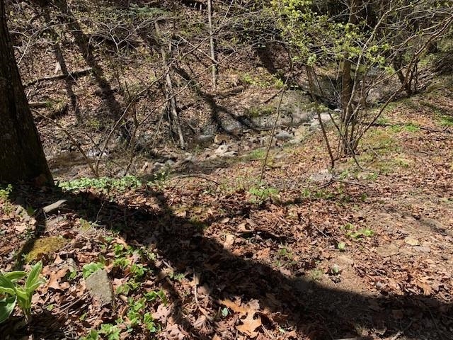 840 Lower Back Creek Road Monterey, VA 24465 - Photo 32 of 49 Gallery Image 32
