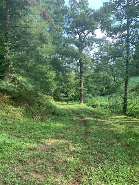 691 Dry Branch Road Hazel Green, KY 41332 - Photo 28 of 33 IMG_4298