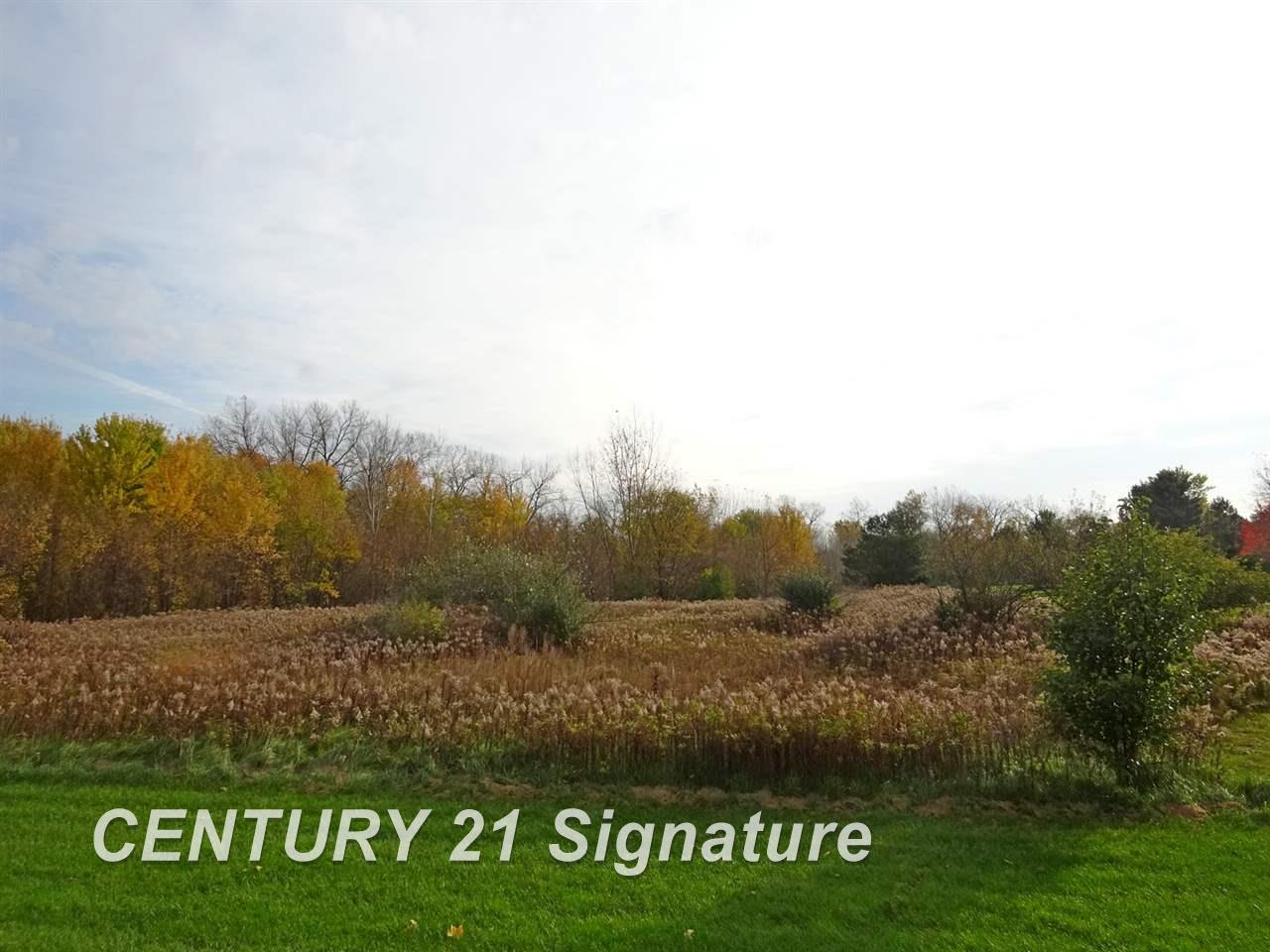 7159 Curtis Road Frankenmuth, MI 48734 - Photo 39 of 46