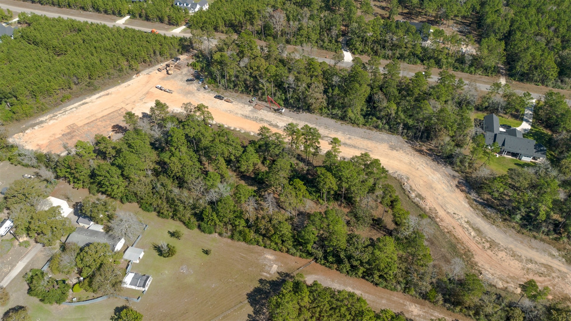 15645 Ridge Rock Road Willis, TX 77378 - Photo 11 of 15 a view of a forest with a tree