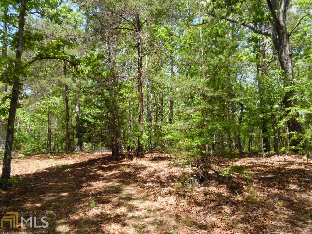 561 Holly Springs Road Toccoa, GA 30577 - Photo 1 of 1
