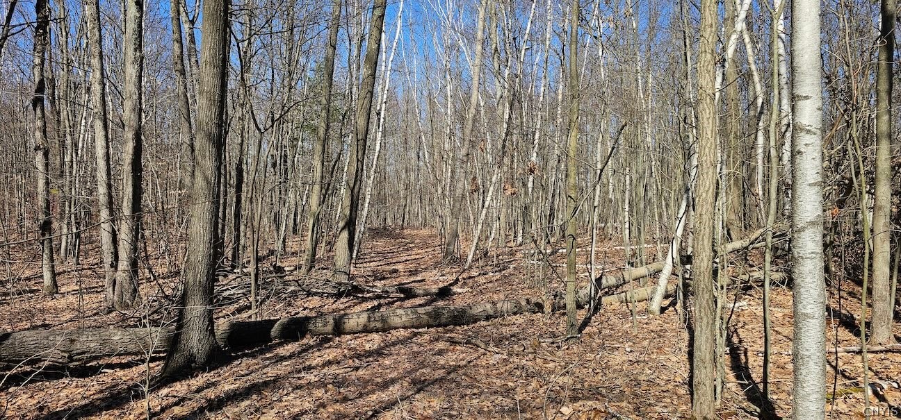 South Hill Road Van Etten, NY 14889 - Photo 20 of 34 Gallery Image 20