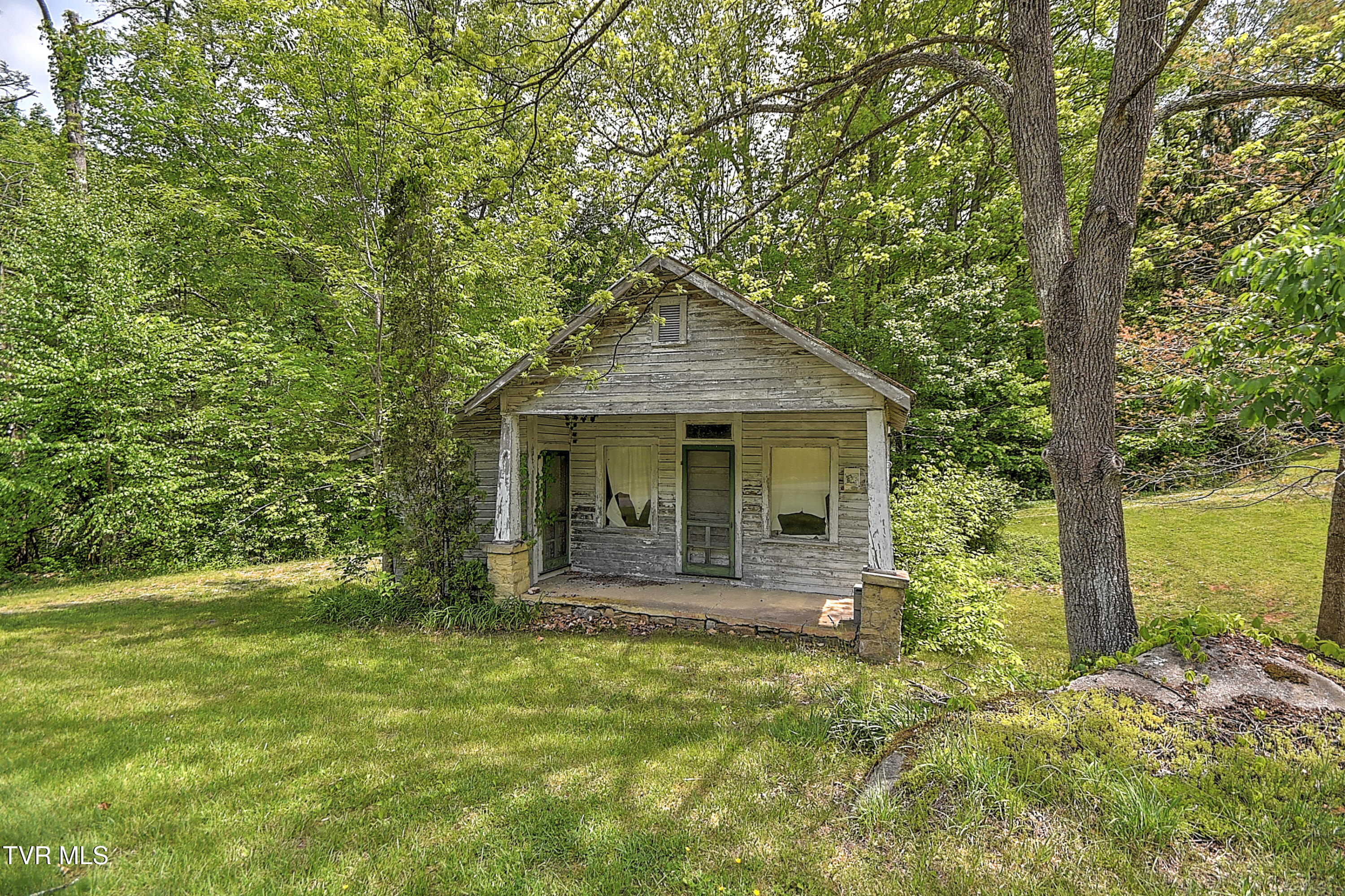 275 Tiger Creek Road Roan Mountain, TN 37687 - Photo 8 of 104 275 Tiger Creek EH-50