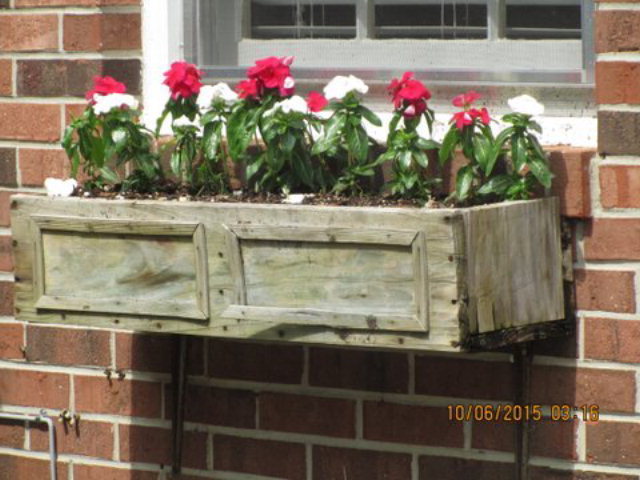 5165 Zebulon Road Macon, GA 31210 - Photo 27 of 28 a view of lot of flowers and flowers
