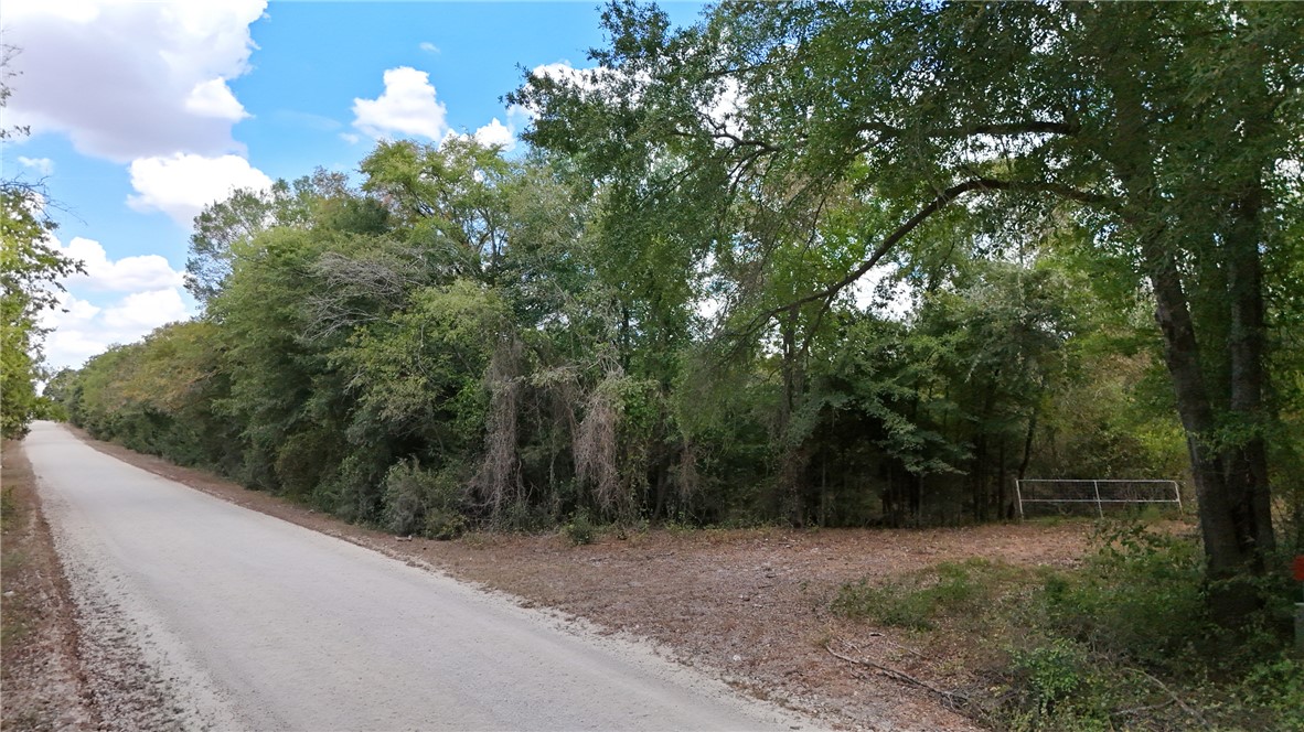 3480 Beck Prairie Road Calvert, TX 77837 - Photo 3 of 9 Gallery Image 3