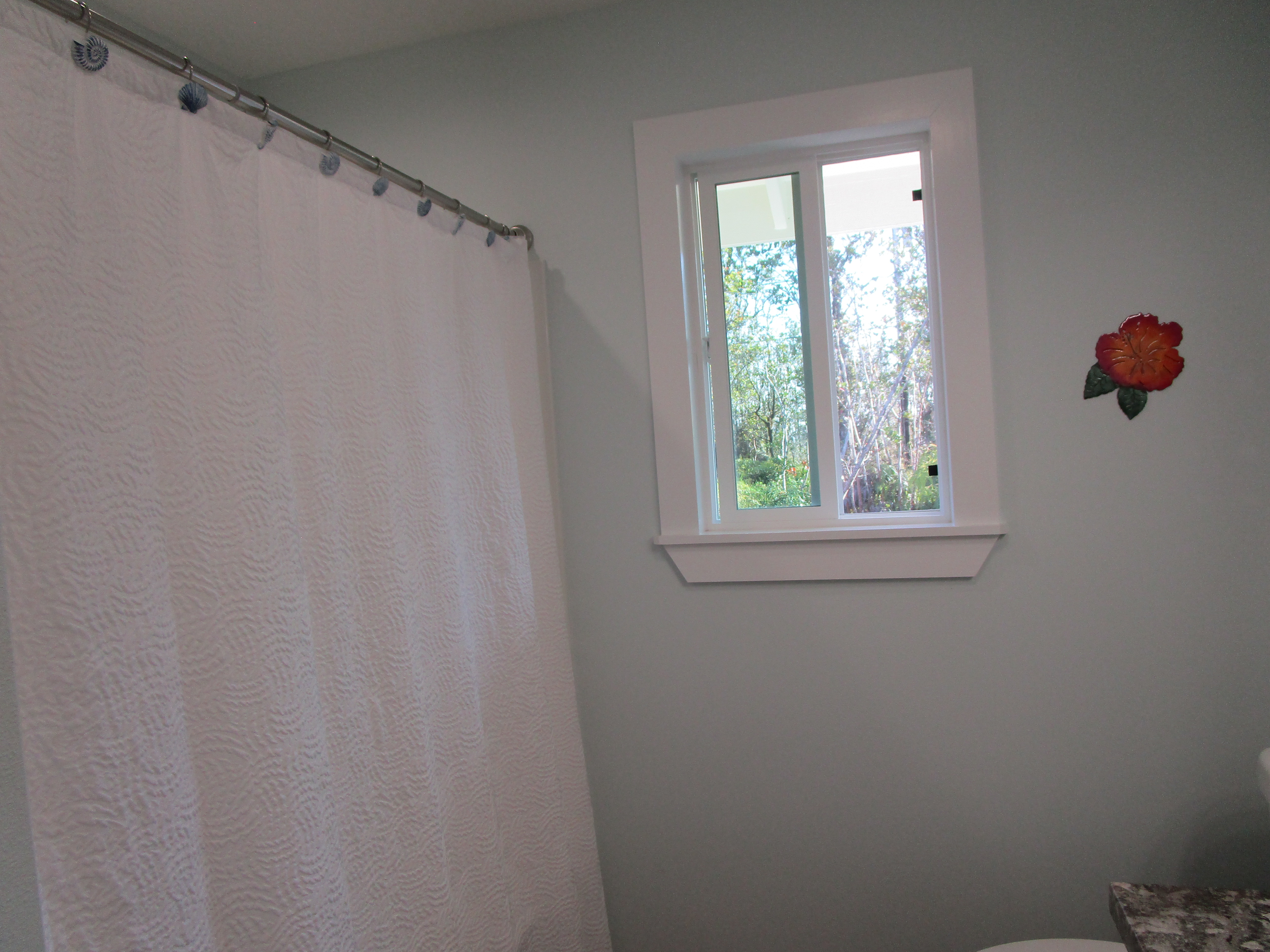 1 Kokokahi Road Mountain View, HI 96771 - Photo 13 of 27 a view of walk in closet with window