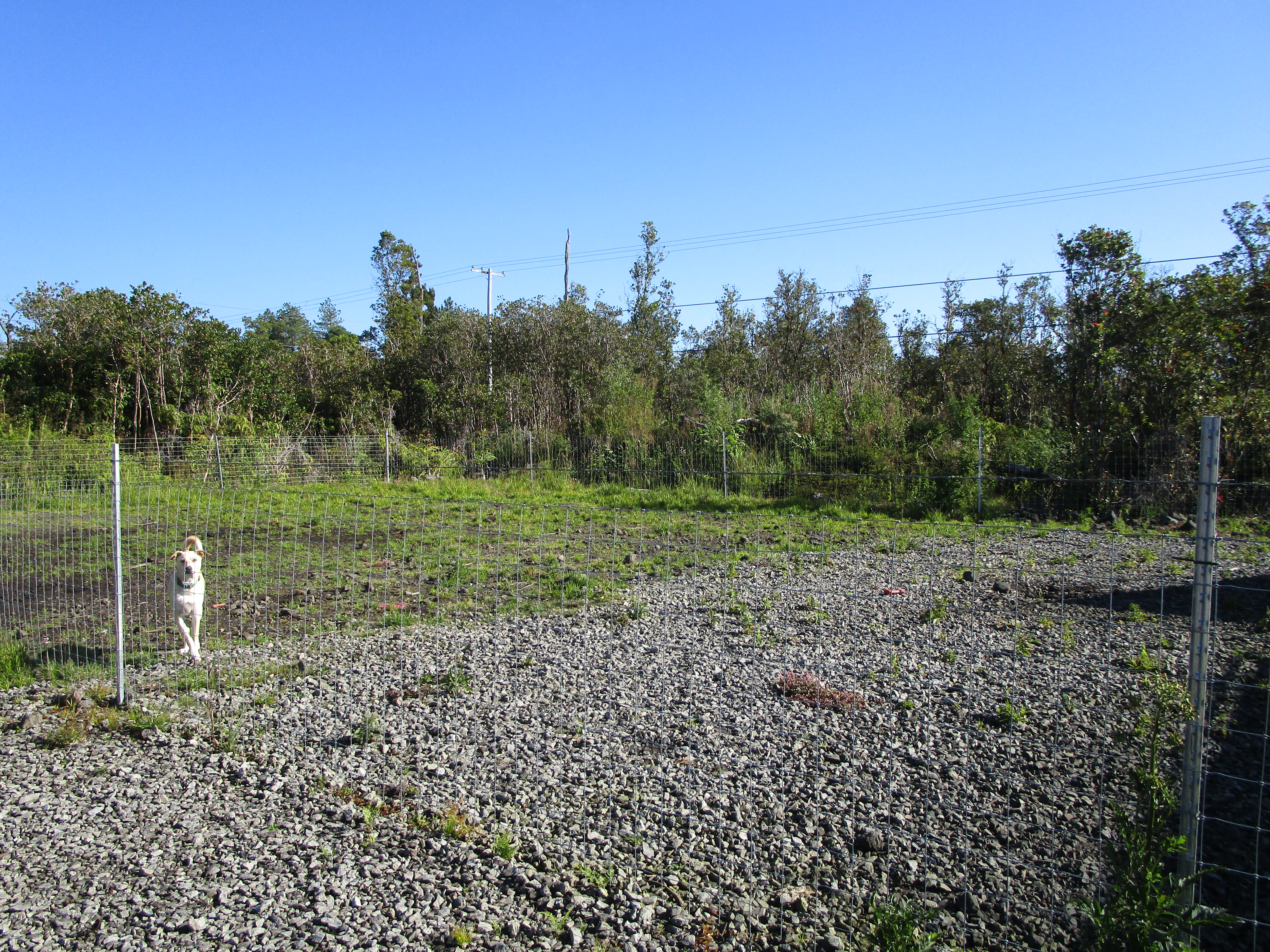 1 Kokokahi Road Mountain View, HI 96771 - Photo 21 of 27 a view of a park